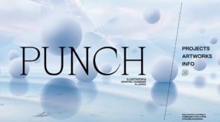 PUNCH Portfolio
