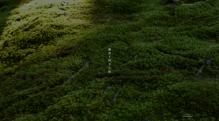 西芳寺｜苔寺　Saihoji | Kokedera