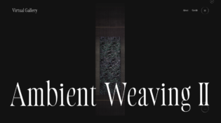 Virtual Gallery | Ambient Weaving Ⅱ Virtual Gallery