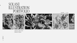 SOLANI Portfolio