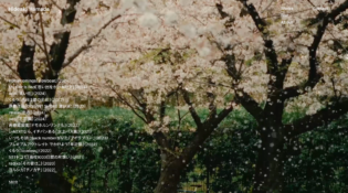 Hideaki Hamada Photography