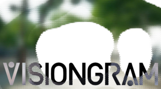 VISIONGRAM — 視覚障がいを、可視化する。